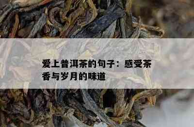 爱上普洱茶的句子：感受茶香与岁月的味道