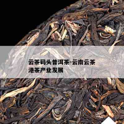 云茶码头普洱茶-云南云茶港茶产业发展