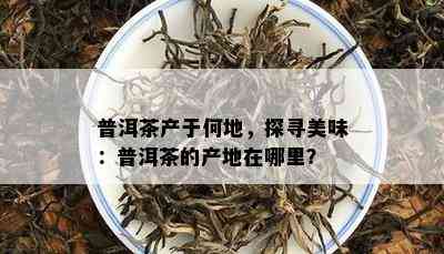 普洱茶产于何地，探寻美味：普洱茶的产地在哪里？