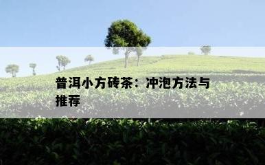 普洱小方砖茶：冲泡方法与推荐