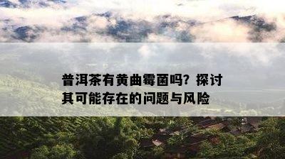 普洱茶有黄曲霉菌吗？探讨其可能存在的疑问与风险