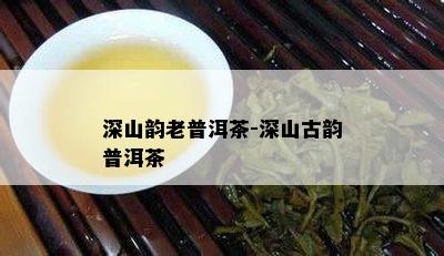 深山韵老普洱茶-深山古韵普洱茶