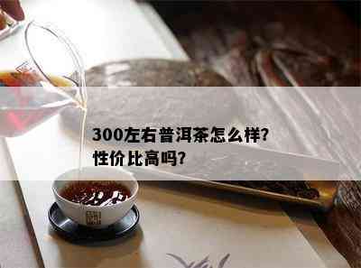 300左右普洱茶怎么样？性价比高吗？