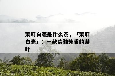 茉莉白毫是什么茶，「茉莉白毫」：一款清雅芳香的茶叶