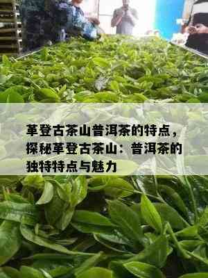 革登古茶山普洱茶的特点，探秘革登古茶山：普洱茶的独特特点与魅力