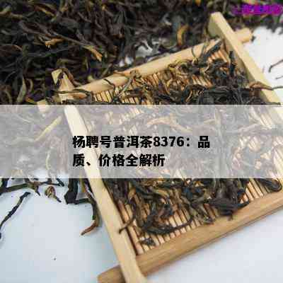 杨聘号普洱茶8376：品质、价格全解析