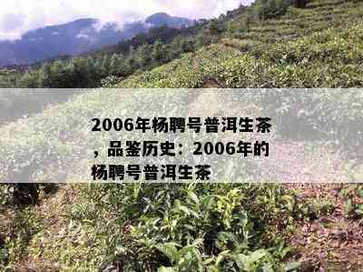 2006年杨聘号普洱生茶，品鉴历史：2006年的杨聘号普洱生茶