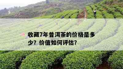 收藏7年普洱茶的价格是多少？价值怎样评估？