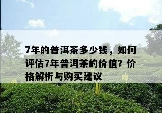 7年的普洱茶多少钱，怎样评估7年普洱茶的价值？价格解析与购买建议