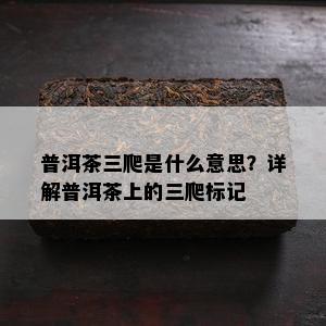 普洱茶三爬是什么意思？详解普洱茶上的三爬标记