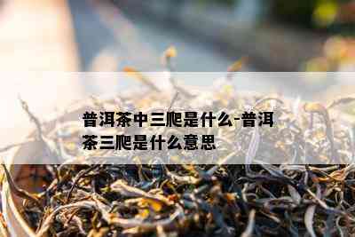 普洱茶中三爬是什么-普洱茶三爬是什么意思