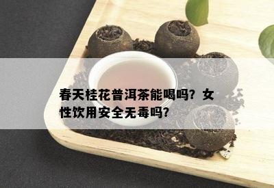 春天桂花普洱茶能喝吗？女性饮用安全无吗？