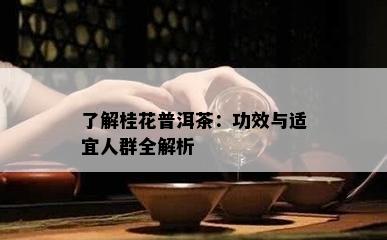 熟悉桂花普洱茶：功效与适宜人群全解析