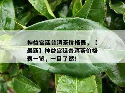 神益宫廷普洱茶价格表，【最新】神益宫廷普洱茶价格表一览，一目了然！