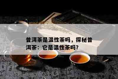 普洱茶是温性茶吗，探秘普洱茶：它是温性茶吗？