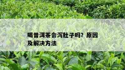 喝普洱茶会泻肚子吗？起因及解决方法