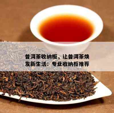 普洱茶收纳柜，让普洱茶焕发新生活：专业收纳柜推荐