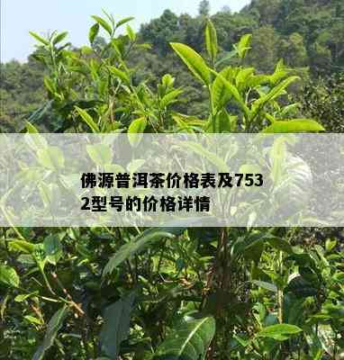 佛源普洱茶价格表及7532型号的价格详情