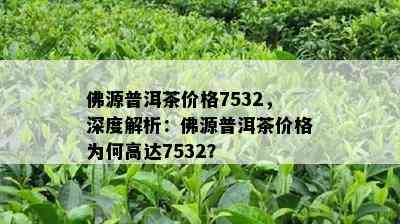 佛源普洱茶价格7532，深度解析：佛源普洱茶价格为何高达7532？