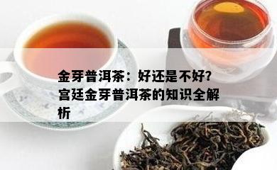 金芽普洱茶：好还是不好？宫廷金芽普洱茶的知识全解析