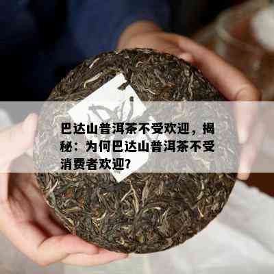 巴达山普洱茶不受欢迎，揭秘：为何巴达山普洱茶不受消费者欢迎？