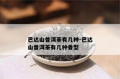 巴达山普洱茶有几种-巴达山普洱茶有几种香型