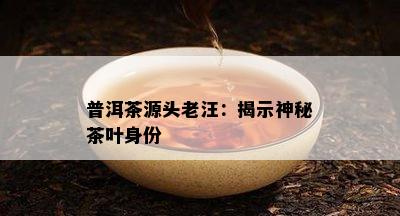 普洱茶源头老汪：揭示神秘茶叶身份