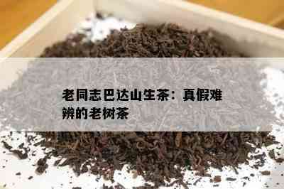 老同志巴达山生茶：真假难辨的老树茶