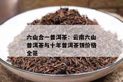 六山合一普洱茶：云南六山普洱茶与十年普洱茶饼价格全览