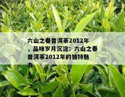 六山之春普洱茶2012年，品味岁月沉淀：六山之春普洱茶2012年的特别魅力