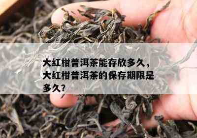 大红柑普洱茶能存放多久，大红柑普洱茶的保存期限是多久？