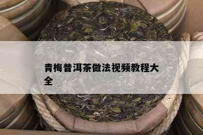 青梅普洱茶做法视频教程大全