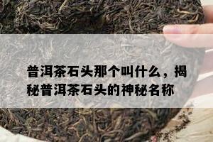 普洱茶石头那个叫什么，揭秘普洱茶石头的神秘名称