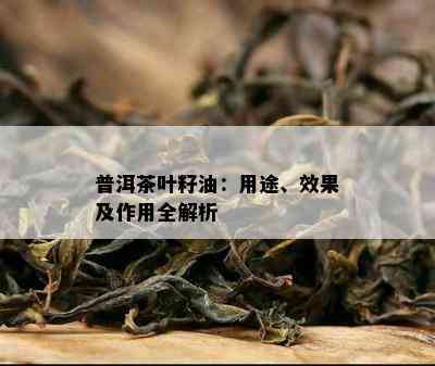 普洱茶叶籽油：用途、效果及作用全解析