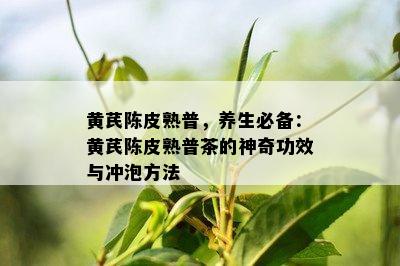 黄芪陈皮熟普，养生必备：黄芪陈皮熟普茶的神奇功效与冲泡方法