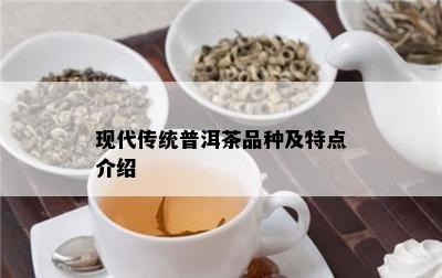 现代传统普洱茶品种及特点介绍