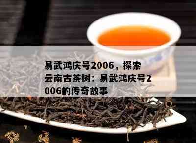 易武鸿庆号2006，探索云南古茶树：易武鸿庆号2006的传奇故事