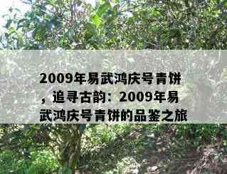 2009年易武鸿庆号青饼，追寻古韵：2009年易武鸿庆号青饼的品鉴之旅