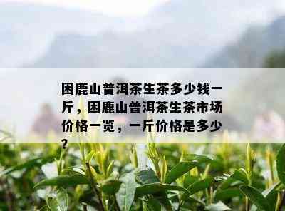 困鹿山普洱茶生茶多少钱一斤，困鹿山普洱茶生茶市场价格一览，一斤价格是多少？