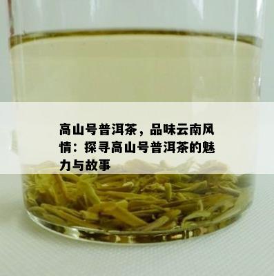 高山号普洱茶，品味云南风情：探寻高山号普洱茶的魅力与故事