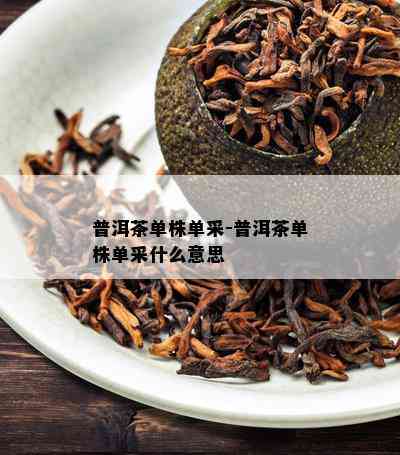 普洱茶单株单采-普洱茶单株单采什么意思