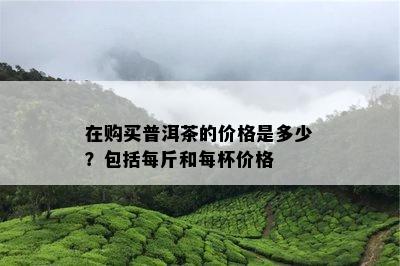 在购买普洱茶的价格是多少？包含每斤和每杯价格