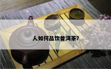 人怎样品饮普洱茶？