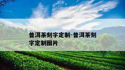 普洱茶刻字定制-普洱茶刻字定制图片