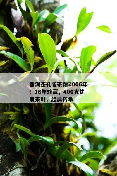 普洱茶孔雀茶饼2006年：16年珍藏，400克优质茶叶，经典传承