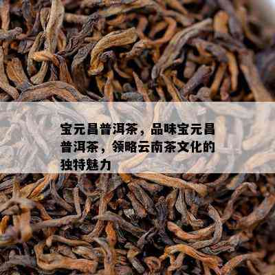 宝元昌普洱茶，品味宝元昌普洱茶，领略云南茶文化的独特魅力