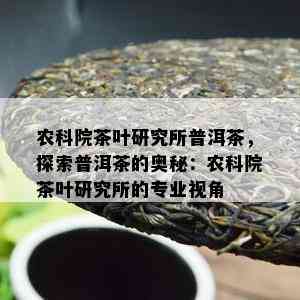 农科院茶叶研究所普洱茶，探索普洱茶的奥秘：农科院茶叶研究所的专业视角