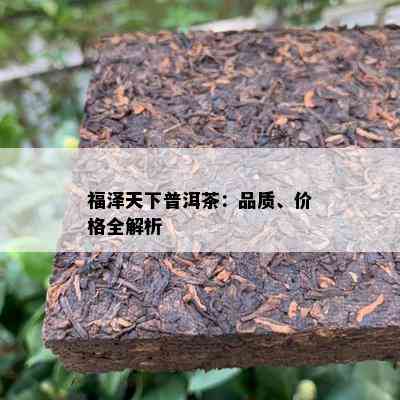 福泽天下普洱茶：品质、价格全解析