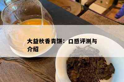 大益秋香青饼：口感评测与介绍