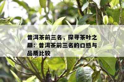 普洱茶前三名，探寻茶叶之巅：普洱茶前三名的口感与品质比较